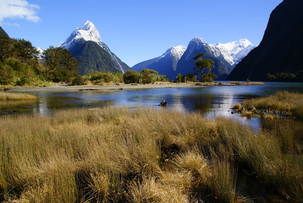 New Zealand Residency by Investment for 2026